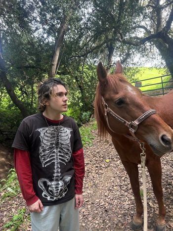hannah the horse
