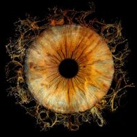 The Book of Odes by We Are Legion