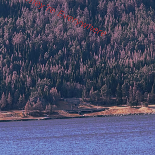 They're Everywhere