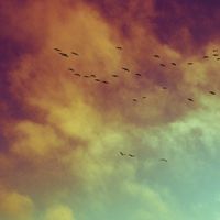 Tired by Magilo