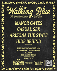 The Something Cosmic Tour