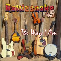 The Way I Am by Rattlesnake .45