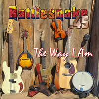 Do It Better by Rattlesnake .45