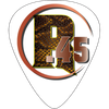 The Way I Am Collectable Guitar Pick