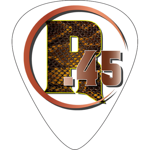 The Way I Am Collectable Guitar Pick
