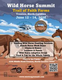 Wild Horse Summit 