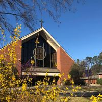 Thanksgiving Mass