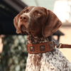 Heavy Duty Stud and Leather Dog Collar for Big Dogs