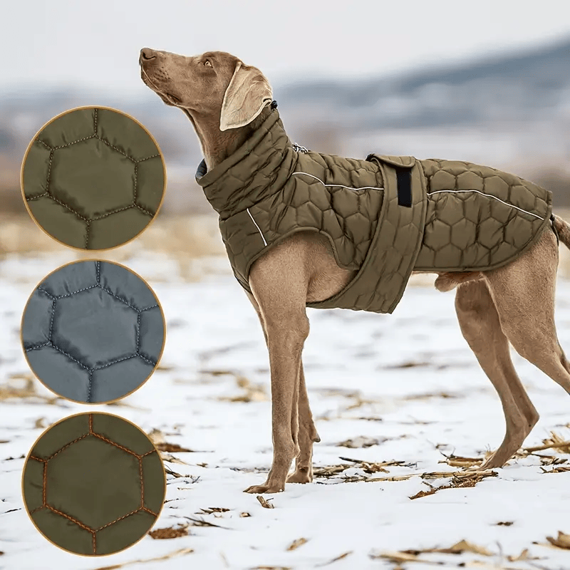 Dog thermal jacket with reflective adjustable buckle jacket.