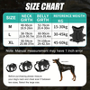 Tactical Dog Harness, Outdoor Training Vest with Explosion-Proof Leash