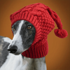 Winter Warmth Knitted Dog Hat Polyester Filled,
