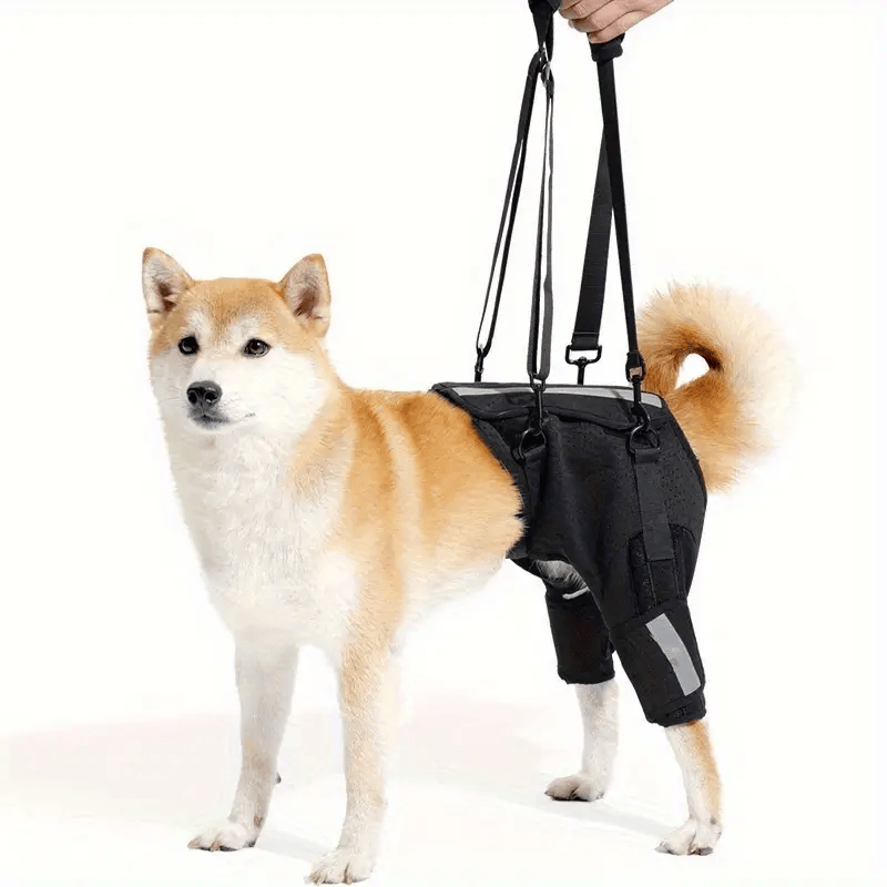 Rear Leg Support Dog Harness