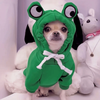Cute Frog Pet Sweater With Hoody One Size.