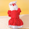 Polka Dot 2 pc Dress. Ruffle Sleeves & Bow