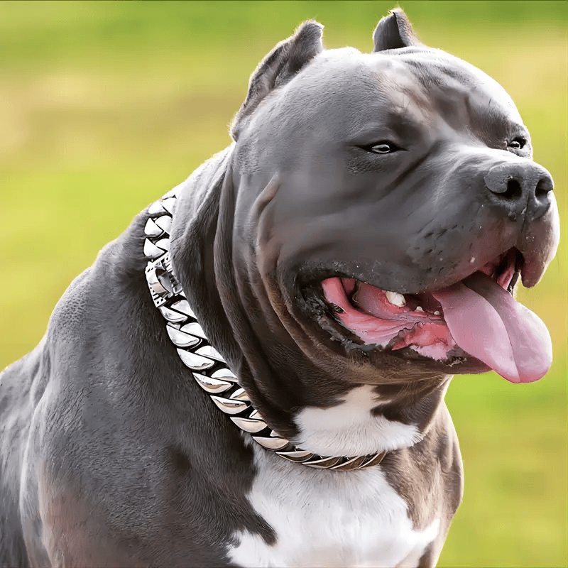 Stainless Steel Dog Chain Necklace, 32mm Cuban Link Chain Silvery Pet Collar