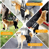 Rear Leg Support Dog Harness