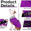 Dog thermal jacket with reflective adjustable buckle jacket