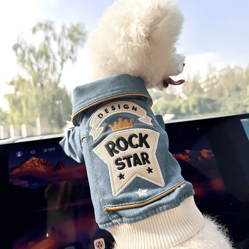 Small Dog Rock Star Jean Jacket Coat