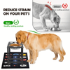 Elevated Dog Bowls For Extra Large Dogs With Mat.