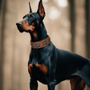 Heavy Duty Stud and Leather Dog Collar for Big Dogs
