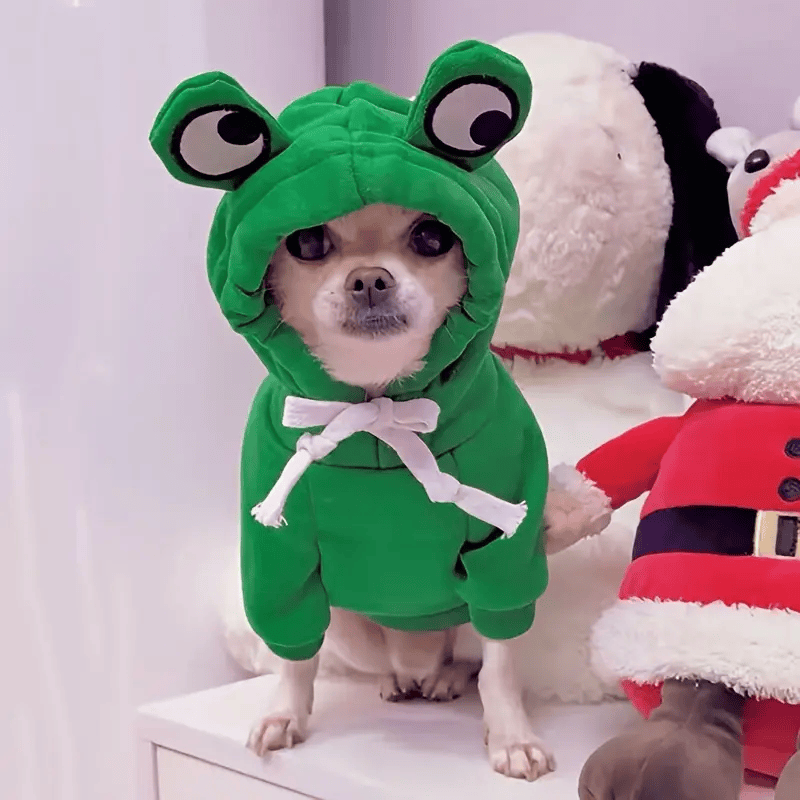 Cute Frog Pet Sweater With Hoody One Size.
