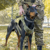 Tactical Dog Harness, Outdoor Training Vest with Explosion-Proof Leash