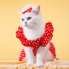 Polka Dot 2 pc Dress. Ruffle Sleeves & Bow
