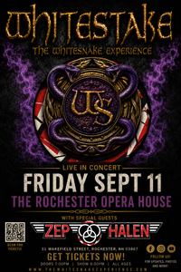 Whitestake - The Whitesnake Experience