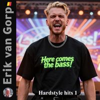 Hardstyle hits 1 by Erik van Gorp