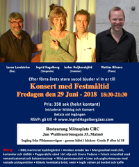 Dinner concert in Malmo