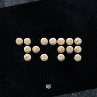 4947 de didgital