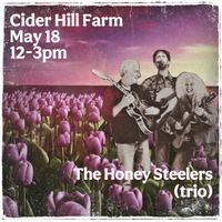 Cider Bar  (trio)