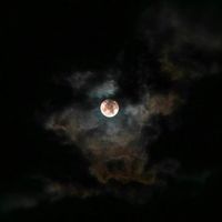 FEAR love. EP by Cystic