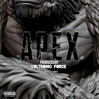 APEX by Flyght frm Miami 