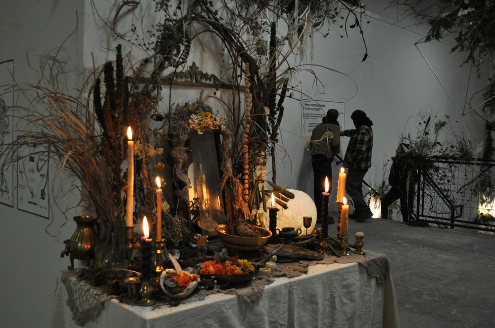 Ritual Botanica altar at Revolve on Jan 3, 2025. Photograph by Lynn Fister.