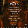 Breaking Silence  - Breaking Silence - HARD COPY CD 