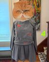 Embroidered Rhi6n Sweatshirt