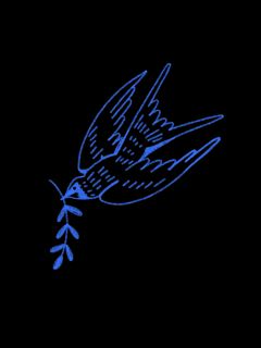 jolie wing