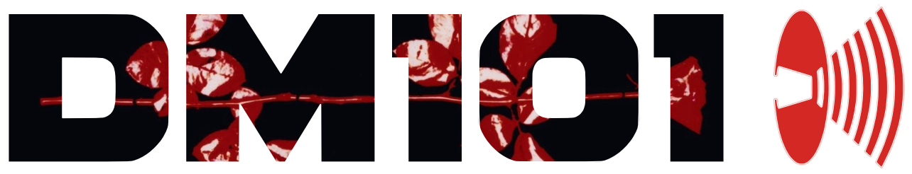 DM101