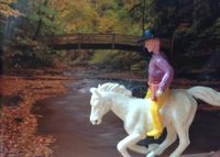 Wild West Variety Show