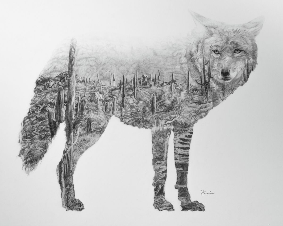 Desert Coyote
