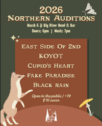 Ness Creek Auditions