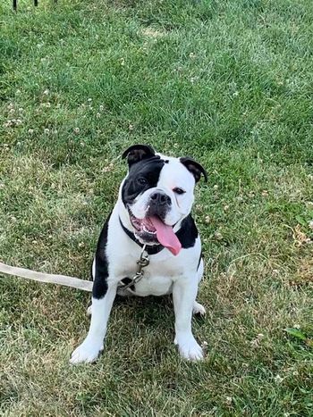 9 months
