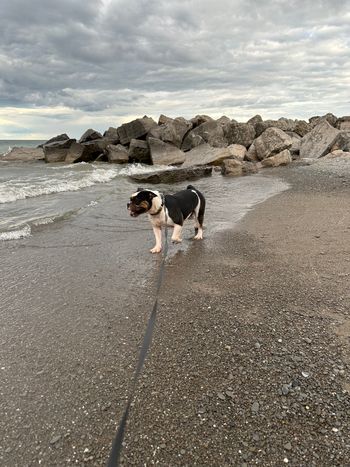 Beach babe
