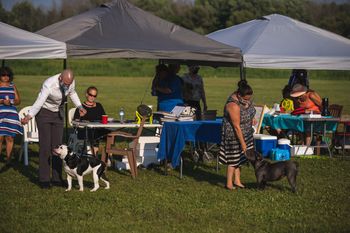 ABI Dog Shows - July 2021
