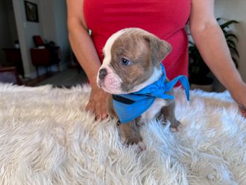 Winston
