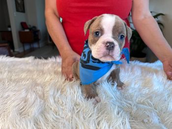 Winston
