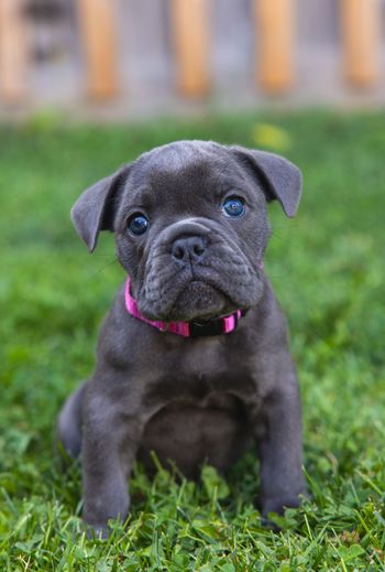 7 weeks
