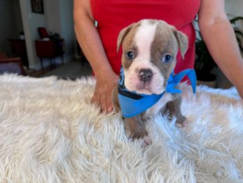 Winston
