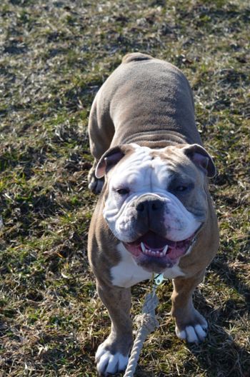 Goofy Grin!
